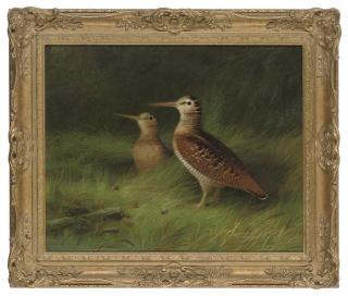 Abel Hold - A pair of woodcock