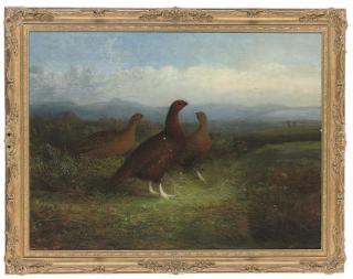 Abel Hold - Distant guns