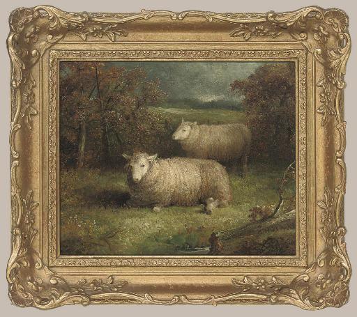 Abel Hold - Sheep in a landscape
