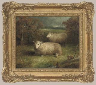 Abel Hold - Sheep in a landscape