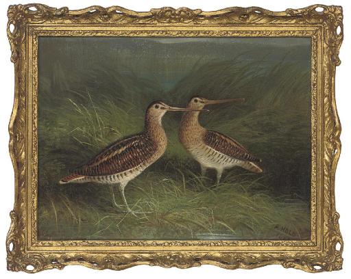 Abel Hold - Snipe on the bank of a river