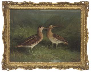Abel Hold - Snipe on the bank of a river