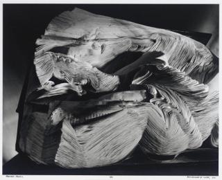 Abelardo Morell - Book Damaged By Water