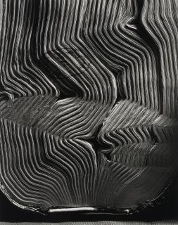 Abelardo Morell - Book with Wavy pages, 2001