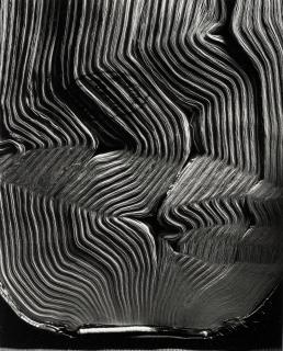 Abelardo Morell - \'Book With Wavy Pages\'