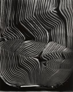 Abelardo Morell - Book With Wavy Pages