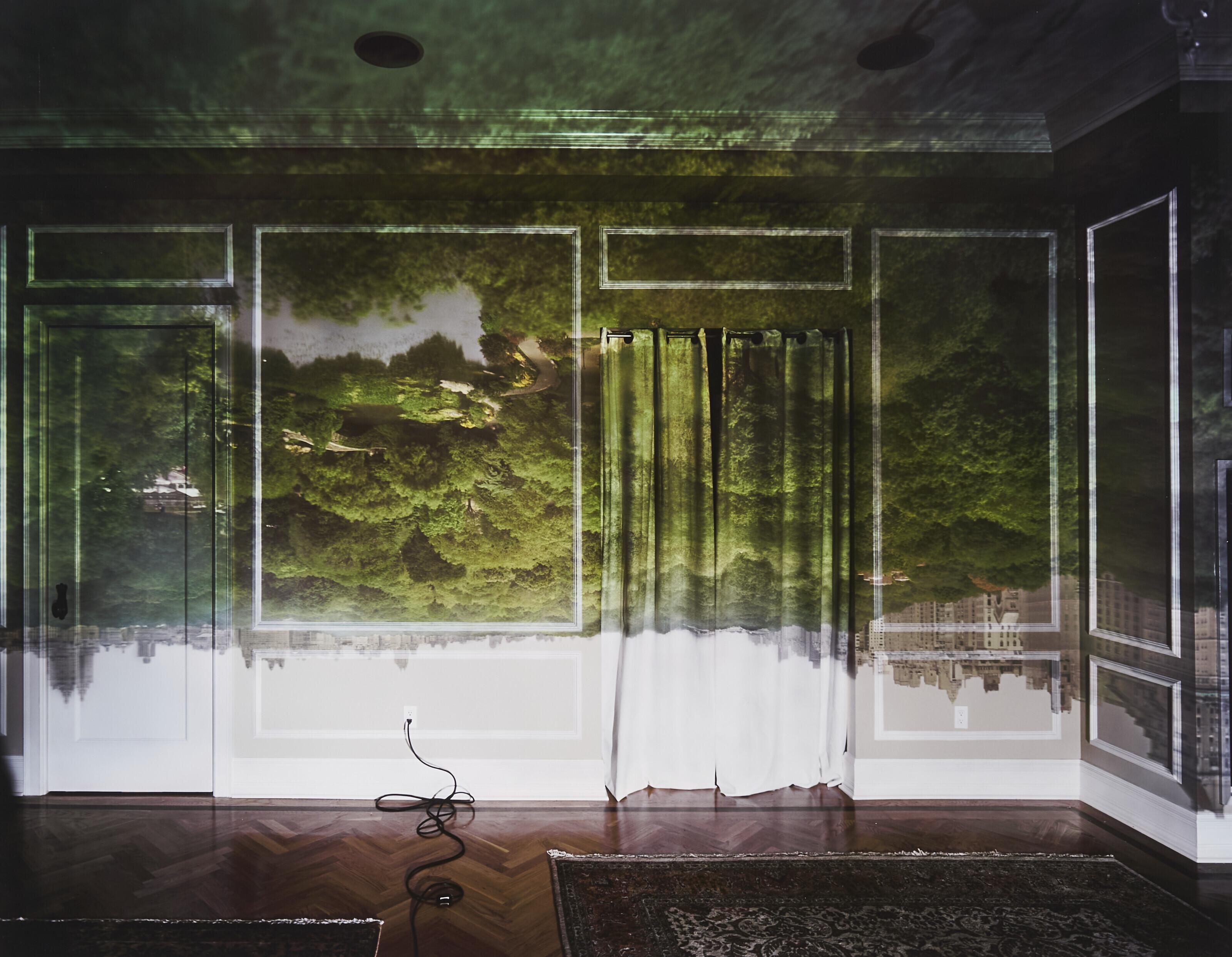 Abelardo Morell - Camera Obscura, Central Park Looking North Summer, 2008
