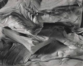 Abelardo Morell  - Detail of Book Damaged by Water, 2001