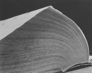 Abelardo Morell - Dictionary