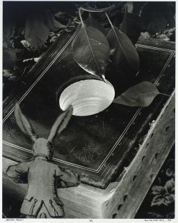 Abelardo Morell - Down the Rabbit Hole