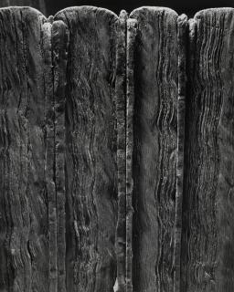 Abelardo Morell - Selected images 3