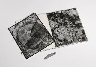 Abelardo Morell - The Island Of Rota