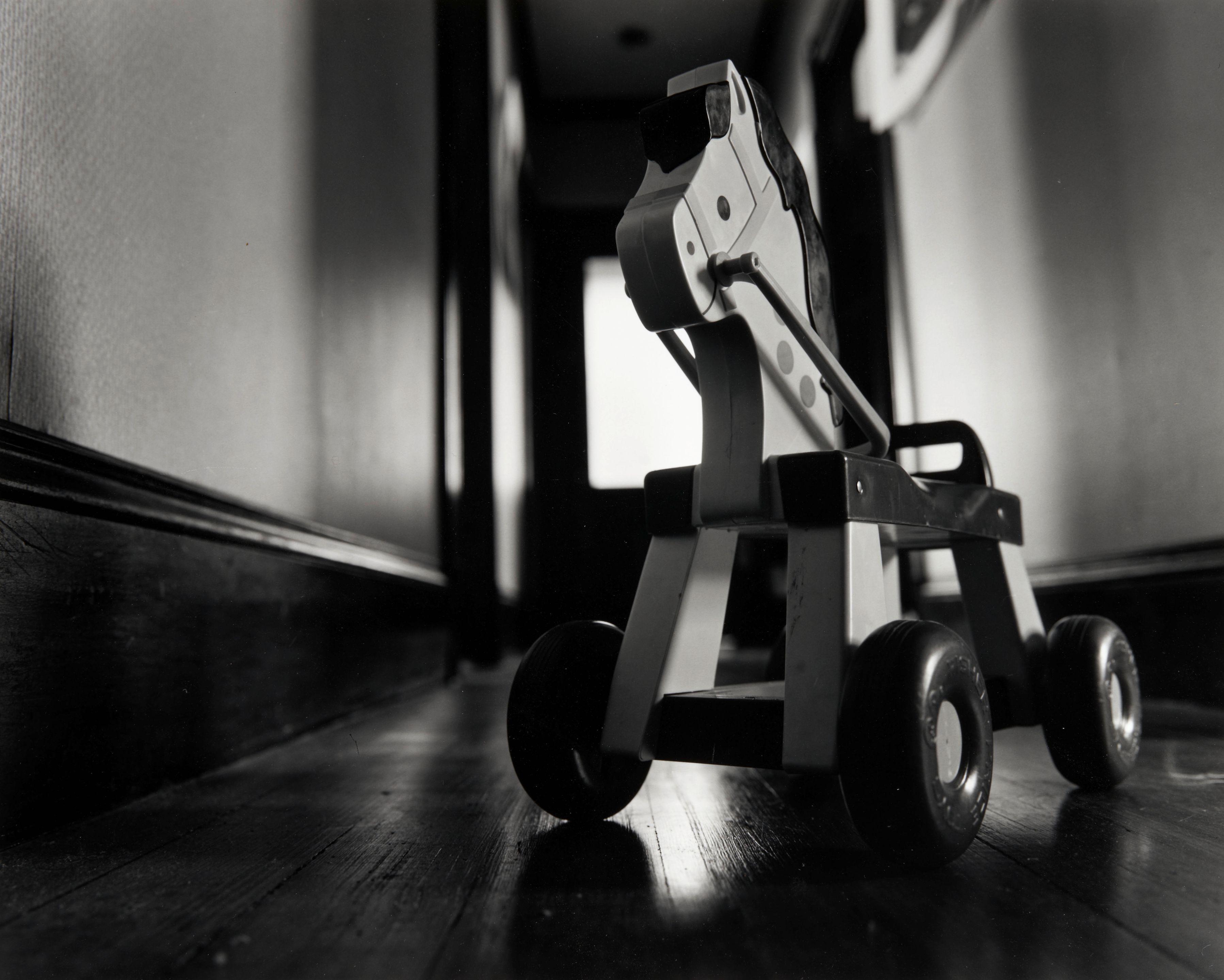 Abelardo Morell - Toy Horse