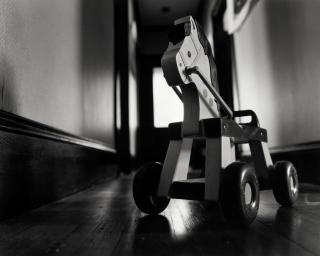 Abelardo Morell - Toy Horse