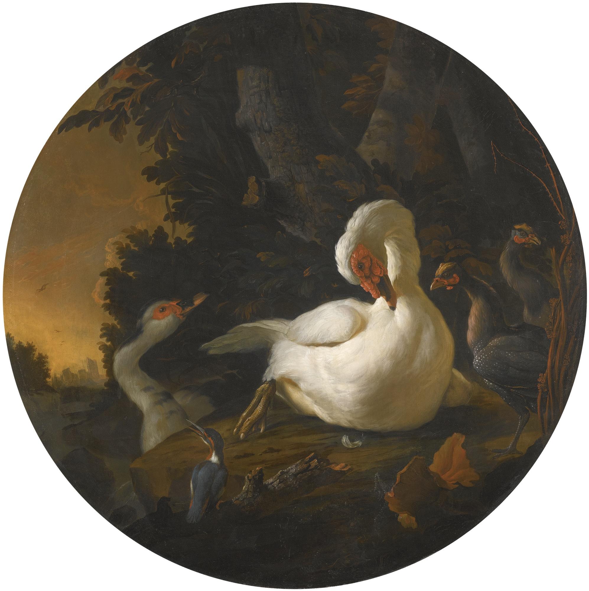 Abraham Bisschop - A Mute Swan, A Goose, And Other Fowl On A Wooded River Bank
