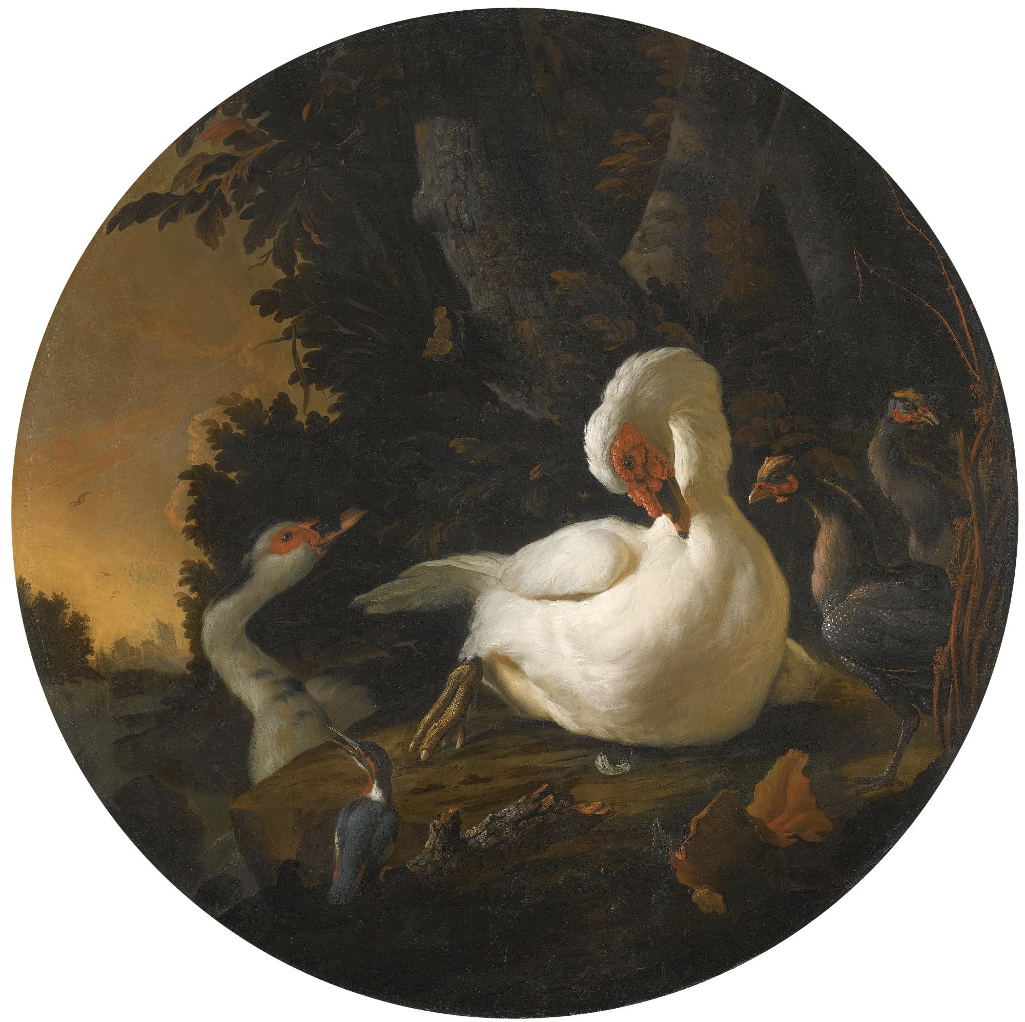 Abraham Bisschop - A Mute Swan, A Goose, And Other Fowl On A Wooded River Bank