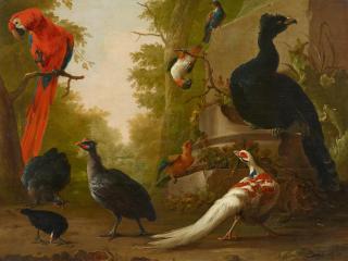 Abraham Bisschop - Ein roter Ara, Perlhühner, ein Silberfasan und andere exotische Vögel in einem Park