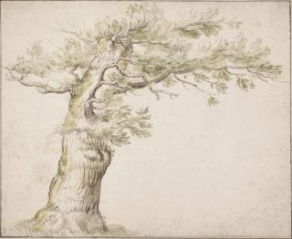 Abraham Bloemaert - An old tree
