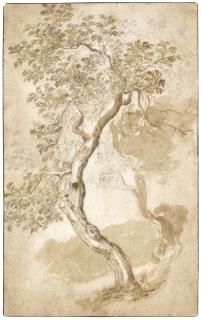 Abraham Bloemaert - Two Trees