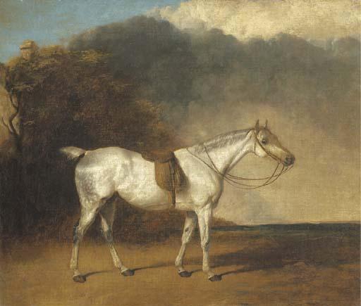 Abraham Cooper, R.A. - A saddled grey hunter in a landscape