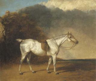 Abraham Cooper, R.A. - A saddled grey hunter in a landscape