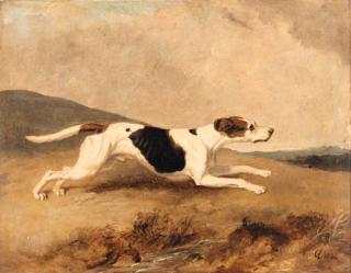 Abraham Cooper, R.A. - An Old Surrey and Burstow Foxhound