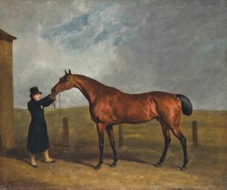 Abraham Cooper, R.A. - Truffle, owned by Colonel Udney