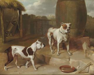Abraham Cooper - Deux Chiens Dans Une Cour