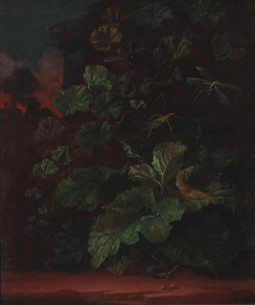 Abraham Jansz. Begeyn - A thistle with butterflies