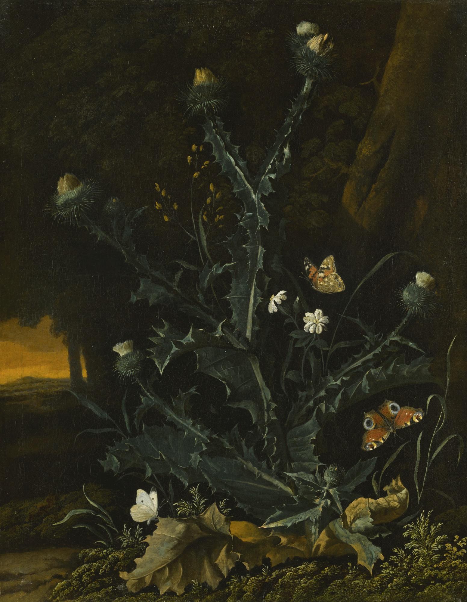 Abraham Jansz. Begeyn - Forest Floor Still Life, With A Thistle