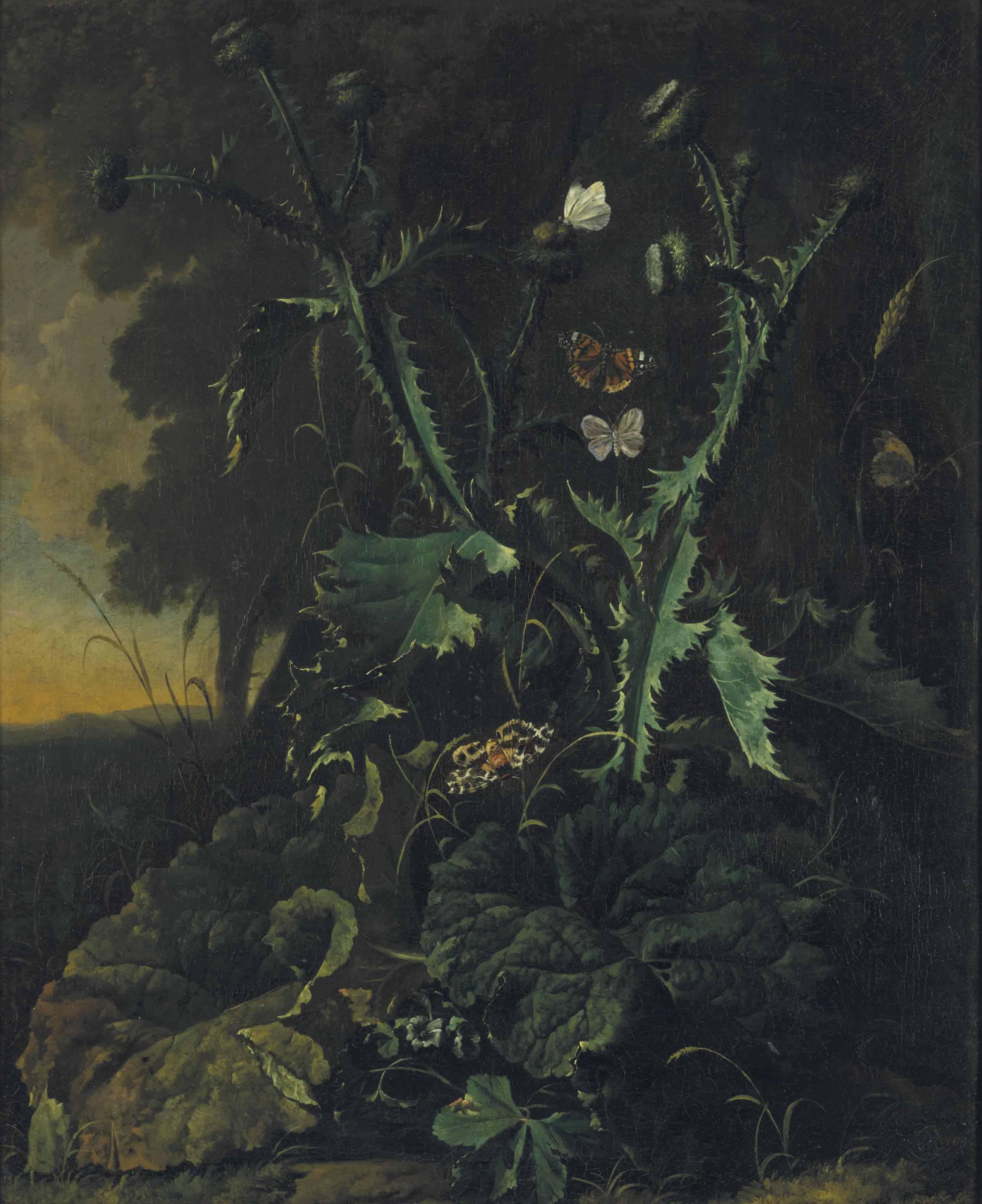 Abraham Jansz. Begeyn - Nature morte aux chardons et aux papillons
