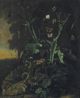 Abraham Jansz. Begeyn - Nature morte aux chardons et aux papillons
