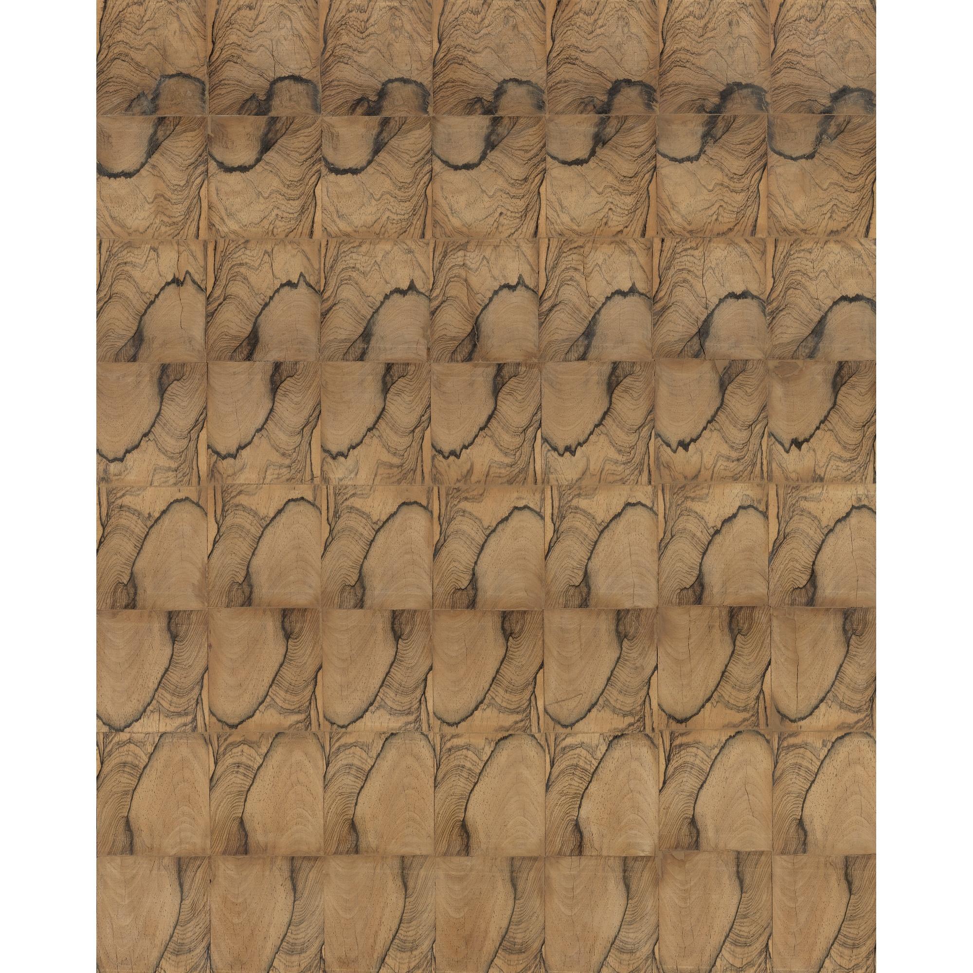 Abraham Palatnik - Progressão 21-A