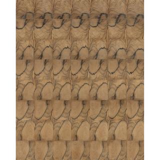 Abraham Palatnik - Progressão 21-A