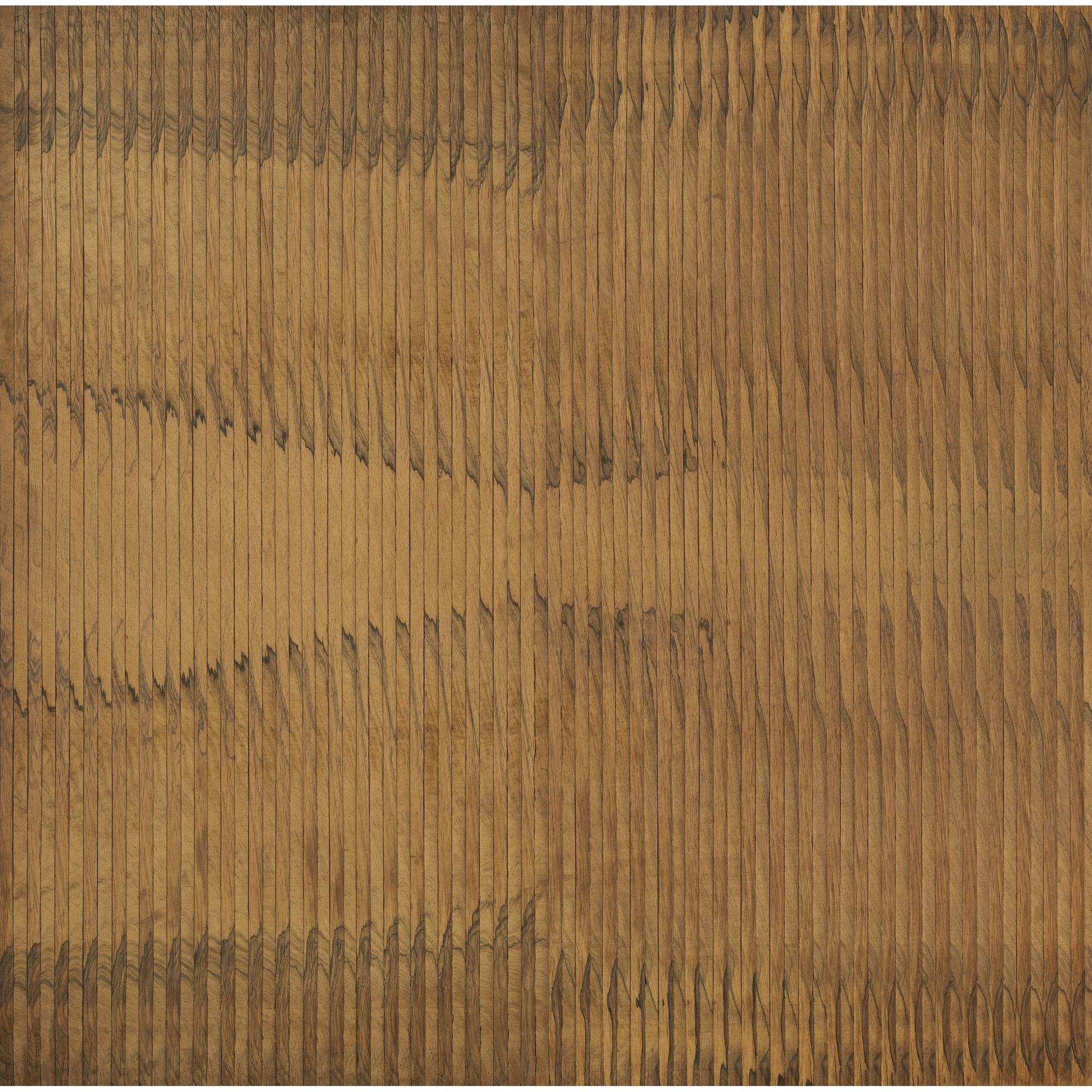 Abraham Palatnik - Progressão 42-A