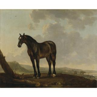 Abraham Pietersz. van Calraet - Portrait Of A Horse In A Landscape