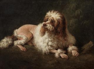 Abraham Teerlink - A poodle in a landscape