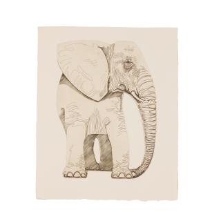 Abram Krol - Bestiaire