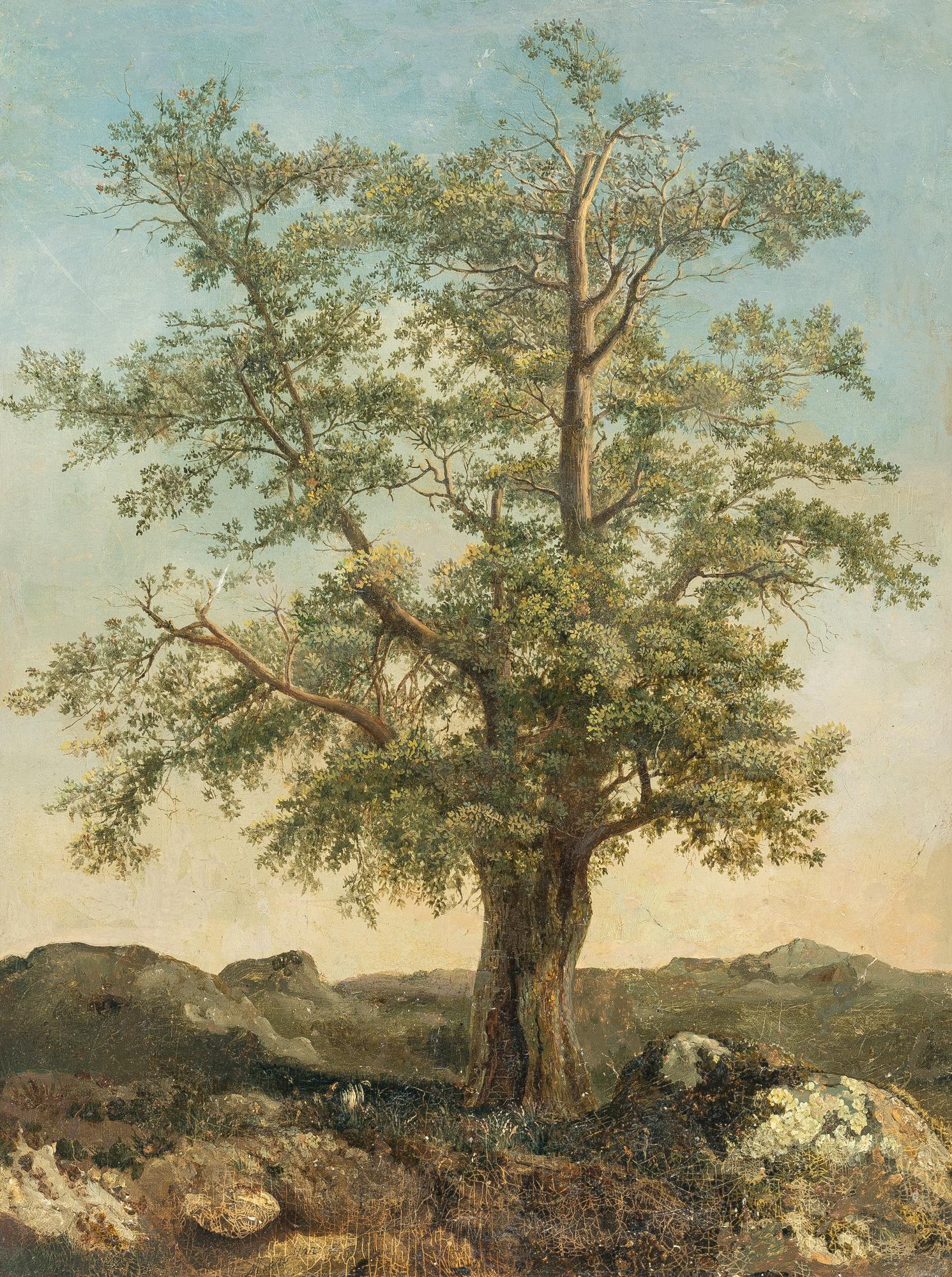 Achille Etna Michallon - Un arbre