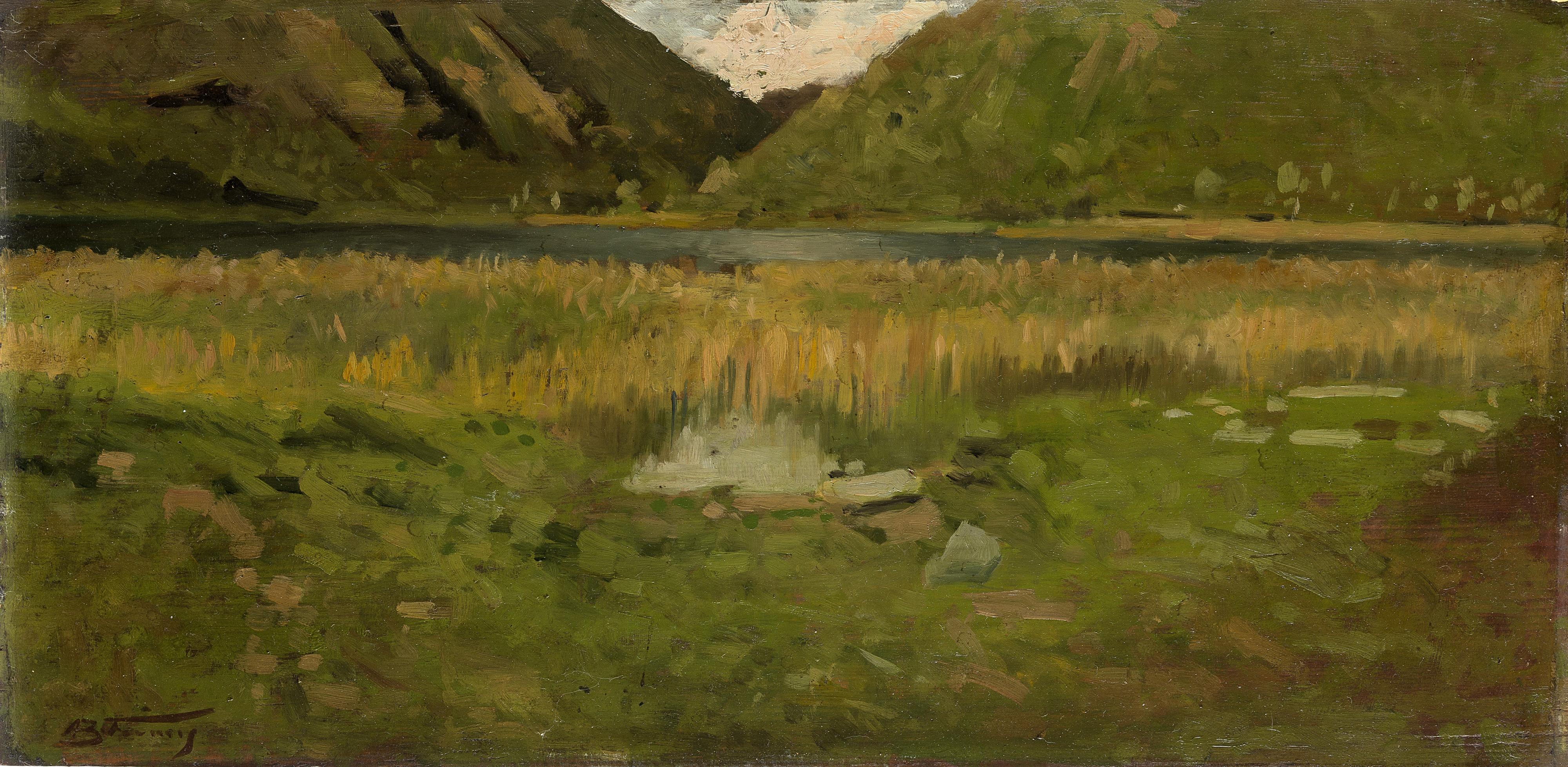 Achille Formis Befani - Il canneto