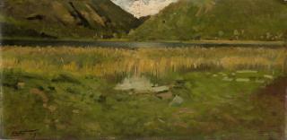 Achille Formis Befani - Il canneto