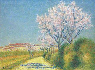 Achille Lauge - Amandiers en fleur à l\'entrée de Cailhavel