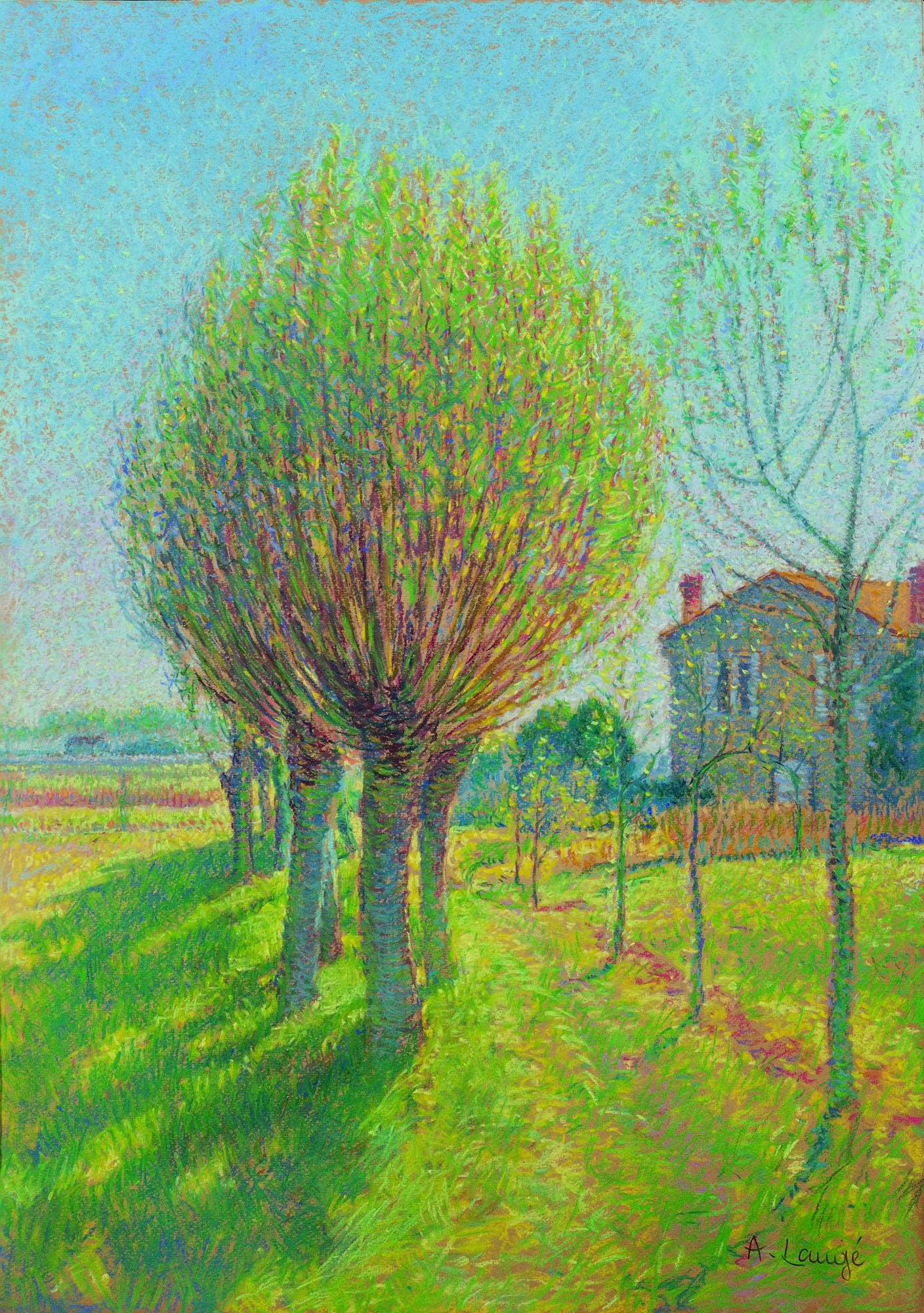 Achille Laugé - L\'Allée De Saules Derrière L\'Alouette, Maison De L\'Artiste