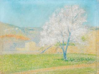 Achille Laugé - Les amandiers en fleurs