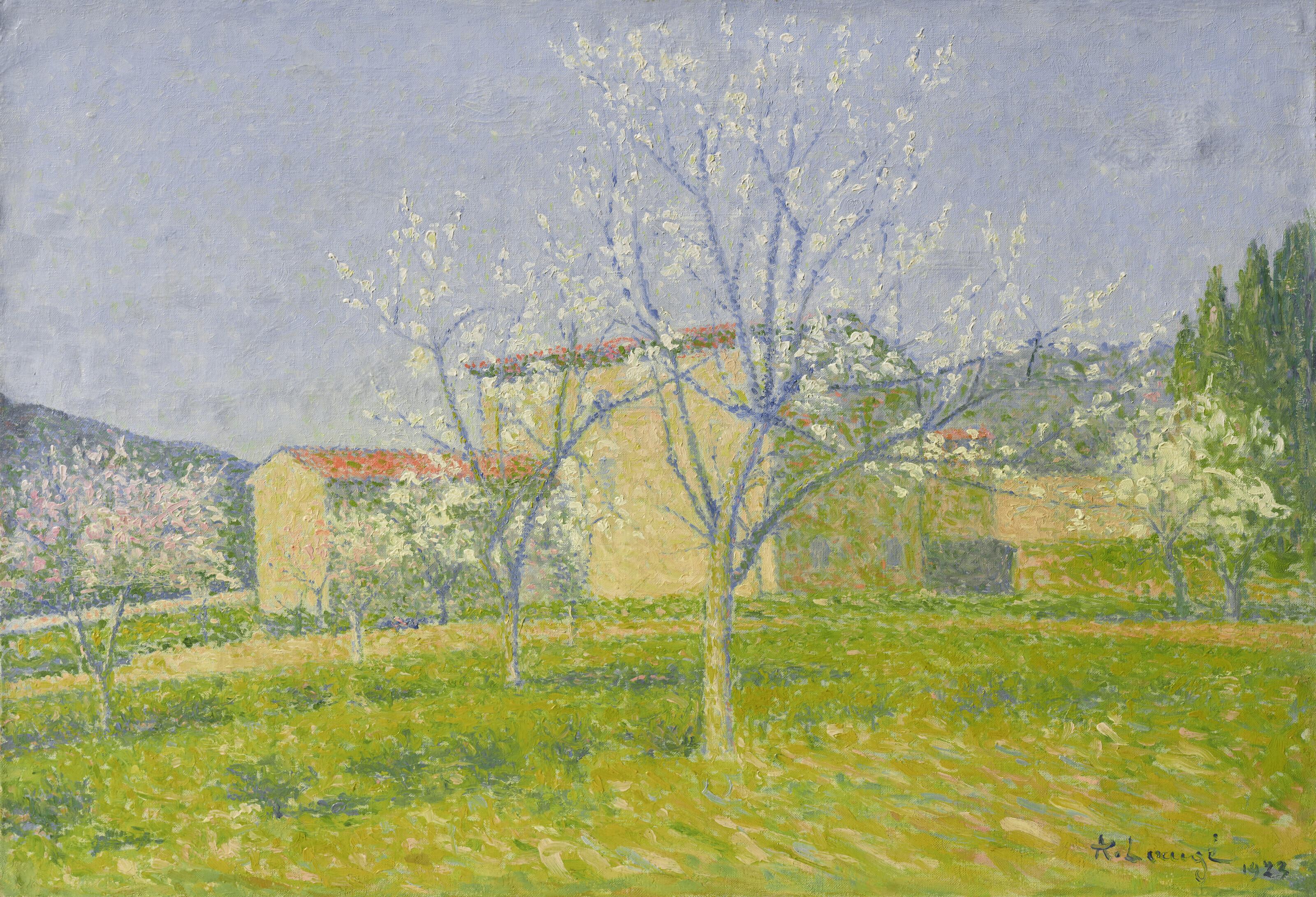 Achille Laugé - Verger en fleurs à Alet-les-Bains (Aude)