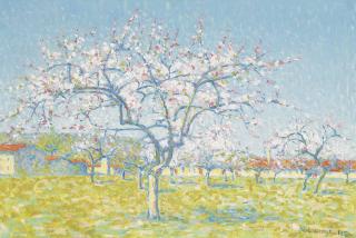 Achille Laugé - Verger en fleurs