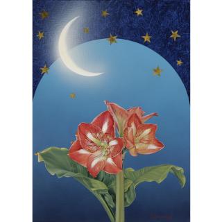 Achilleas Droungas - Greek The Red Flower