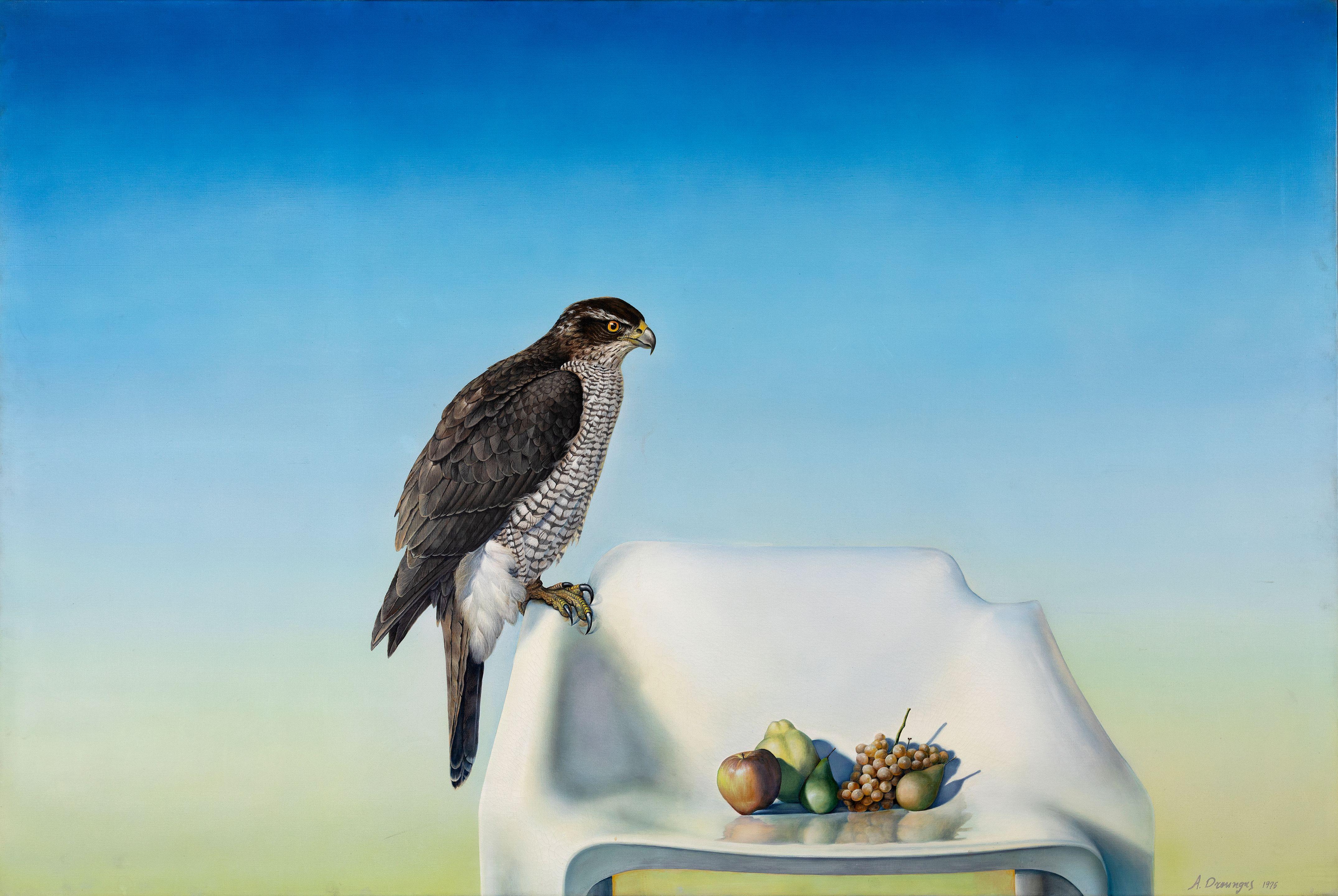 Achilleas Droungas - Nature morte avec faucon