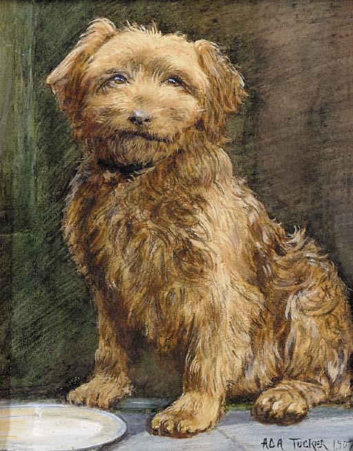 Ada Eliza Tucker - Dinner time