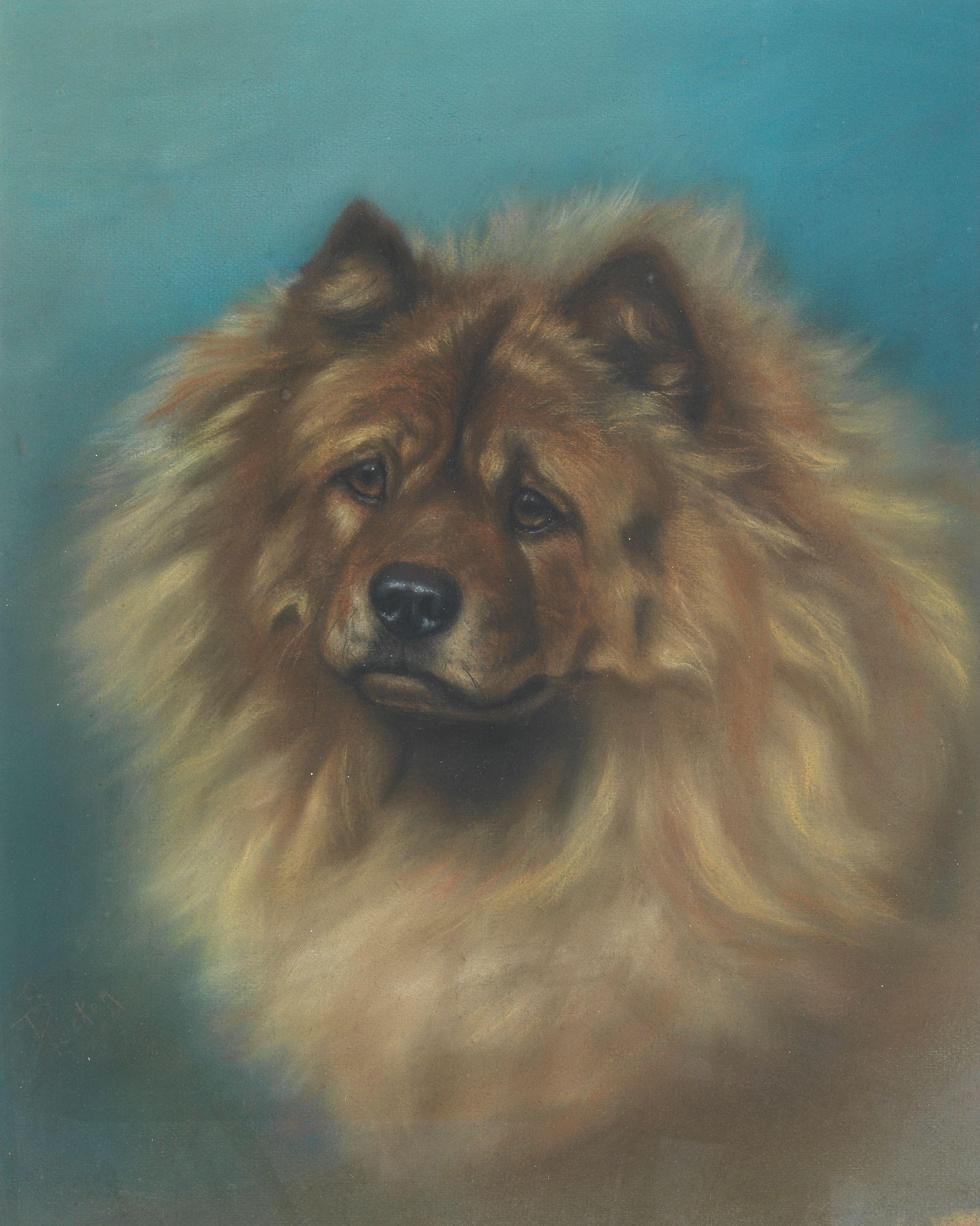 Ada Elizabeth Tucker - Head of a Chow Chow
